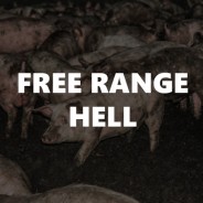 Free Range Hell