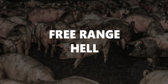 Free Range Hell